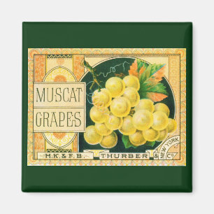 Vintage-Fruchtschachtel-Etikettenkunst, Muskat-Tra Magnet
