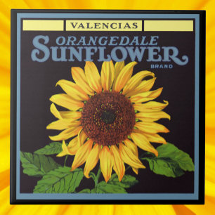 Vintage-Fruchtschachtel-Etikettenkunst Orangedale Fliese