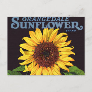 Vintage-Fruchtschachtel-Etikettenkunst Orangedale Postkarte