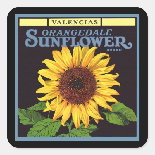 Vintage-Fruchtschachtel-Etikettenkunst Orangedale Quadratischer Aufkleber (Vorderseite)