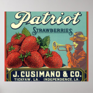 Vintage-Fruchtschachtel-Etikettenkunst Patriot-Erd Poster
