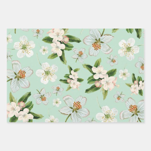 Vintage Frühjahrsblüte-Blume Muster Geschenkpapier Set (Vorderseite)