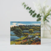 Vintage Frühling in Dixie Postkarte (Stehend Vorderseite)
