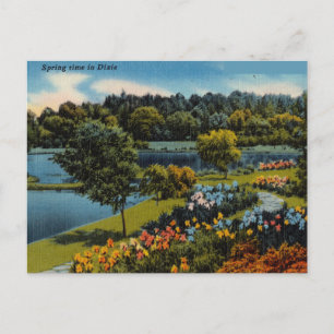 Vintage Frühling in Dixie Postkarte