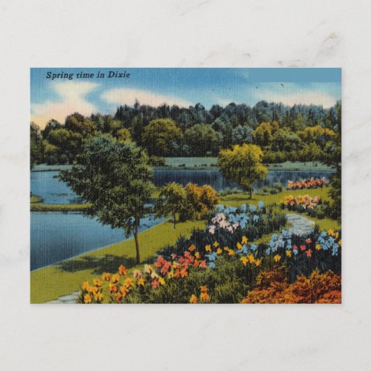 Vintage Frühling in Dixie Postkarte (Vorderseite)