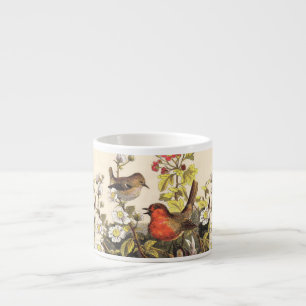 Vintage-Frühlings-Rotkehlchen-Singvögel-Botanik-Bl Espressotasse