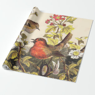 Vintage-Frühlings-Rotkehlchen-Singvögel-Botanik-Bl Geschenkpapier
