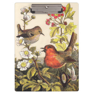 Vintage-Frühlings-Rotkehlchen-Singvögel-Botanik-Bl Klemmbrett