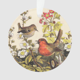 Vintage-Frühlings-Rotkehlchen-Singvögel-Botanik-Bl Ornament