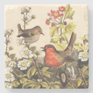 Vintage-Frühlings-Rotkehlchen-Singvögel-Botanik-Bl Steinuntersetzer