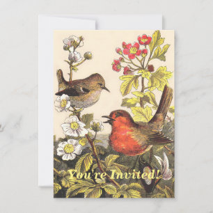 Vintage Frühlings-Rotkehlchen-Singvögel Botanisch Einladung