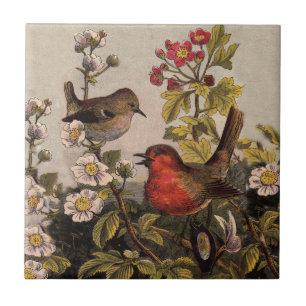 Vintage Frühlings-Rotkehlchen-Singvögel Botanisch Fliese