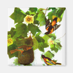 Vintage Frühlings-Tagesvögel u. -Blumen Magnet