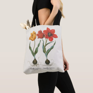Vintage Frühlings-Tulpen von Basilius Besler Tasche