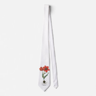 Vintage Frühlingsrote Tulpe Gartenblume von Besler Krawatte