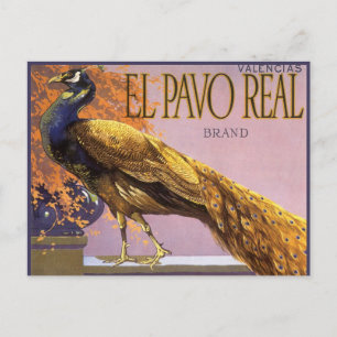 Vintage Fruit Crate Label Art El Pavo Peacock Bird Postkarte