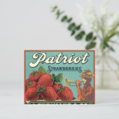 Vintage Fruit Crate Label Art Patriot Strawberries Postkarte (Stehend Vorderseite)