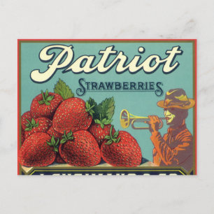 Vintage Fruit Crate Label Art Patriot Strawberries Postkarte