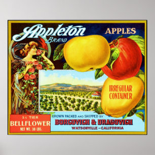 Vintage Fruit Crate Label Poster
