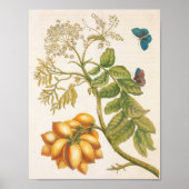 Vintage Fruit Plant With Butterflies Art Poster (Vorne)
