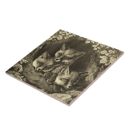 Vintage Fuchs-Keramikfliese Fliese (Seite)