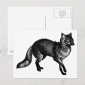 Vintage Fuchs Postkarte (Vorne/Hinten)