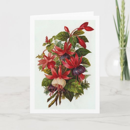 Vintage Fuchsien-Blume, Karte (Vorderseite)