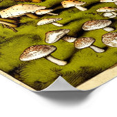 Vintage Fungi Art Print Poster (Ecke)