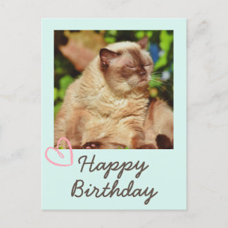 Vintage Funny Cat und Happy Birthday Postcard Postkarte