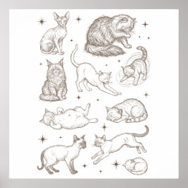 Vintage Funny Cats with Multiple Poses Poster