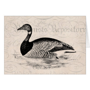 Vintage Gans-Illustration - Schablone der