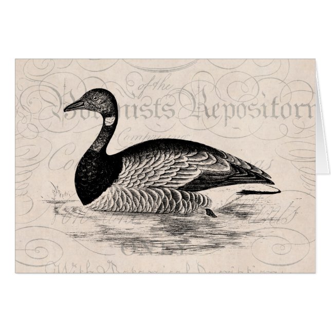 Vintage Gans-Illustration - Schablone der (Vorderseite (Horizontal))
