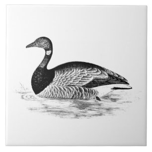 Vintage-Gänse-Illustration - Gänse-Schablone aus d Fliese