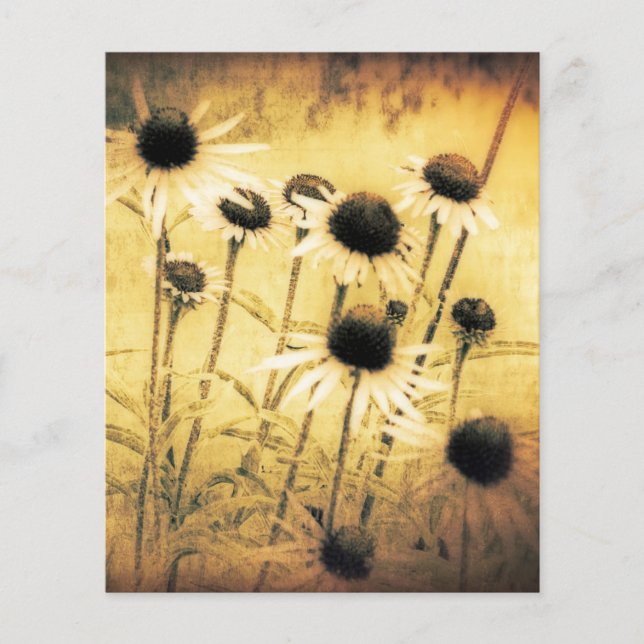 Vintage-Gänseblümchen (Vorderseite)