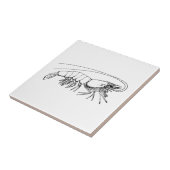 Vintage Garnele Fliese (Seite)