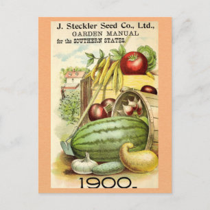 Vintage-Gartenbau Obst Gemüse Gartenhandbuch Postkarte