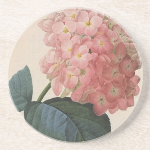 Vintage-Gartenblumen, rosa Hydrangea Hortensie Getränkeuntersetzer