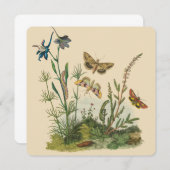 Vintage Garteninsekten, Schmetterlinge, Raupen (Vorne/Hinten)