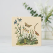 Vintage Garteninsekten, Schmetterlinge, Raupen (Stehend Vorderseite)