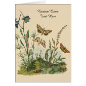 Vintage Garteninsekten, Schmetterlinge, Raupen (Vorne)