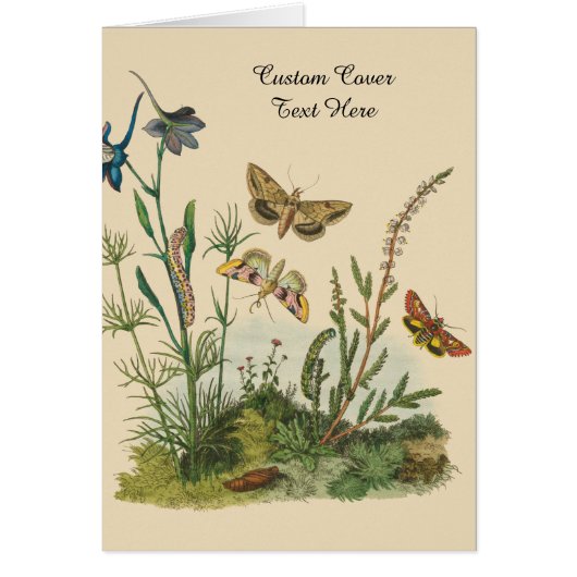 Vintage Garteninsekten, Schmetterlinge, Raupen (Vorne)