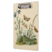 Vintage Garteninsekten, Schmetterlinge, Raupen Klemmbrett (Links)