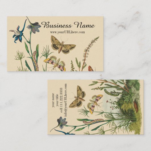 Vintage Garteninsekten, Schmetterlinge, Raupen Visitenkarte (Vorne/Hinten)