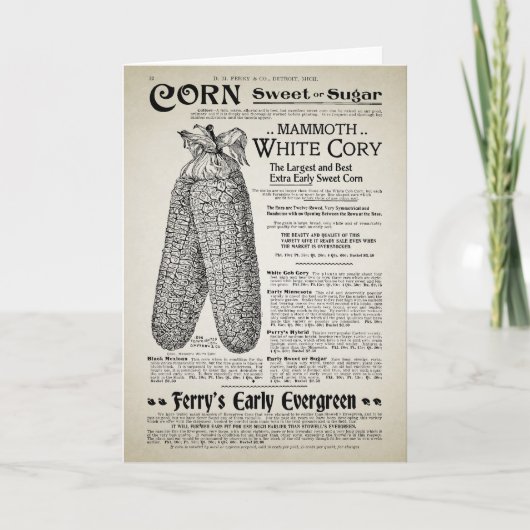 Vintage Gartenkatalog Karte (Vorderseite)