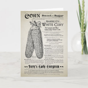 Vintage Gartenkatalog Karte