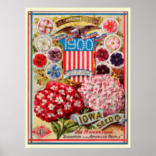 Vintage-Gartensaat-Blumenkatalog Poster