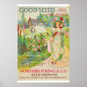 Vintage-Gartensaat-Blumenkatalog Poster