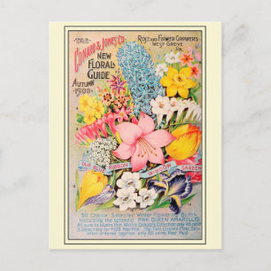 Vintage-Gartensaat-Blumenkatalog Postkarte