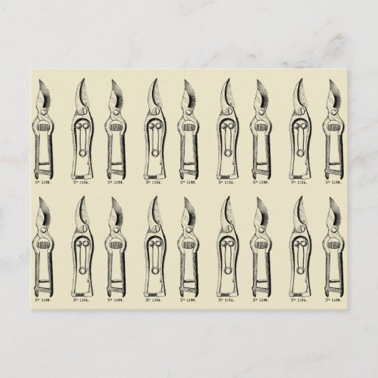 VINTAGE Gartenschneider 2 Postkarte (Vorderseite)