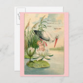 Vintage Geburtsankündigung Stork, Lily Pad, Baby Ankündigungspostkarte (Vorne/Hinten)